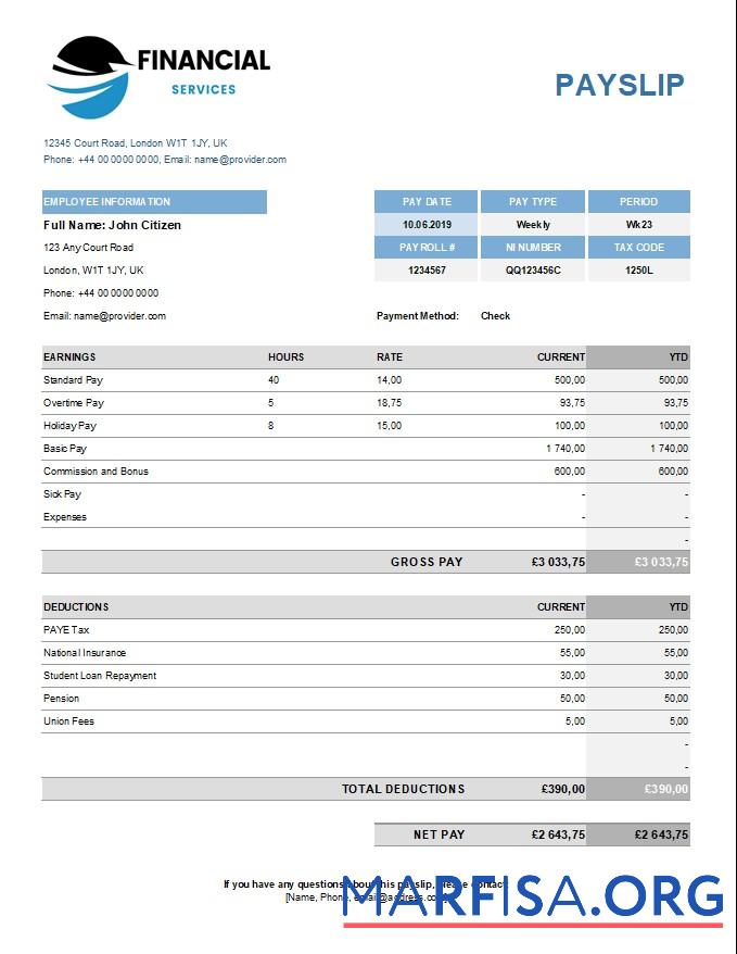 Blank Financical services payslip template